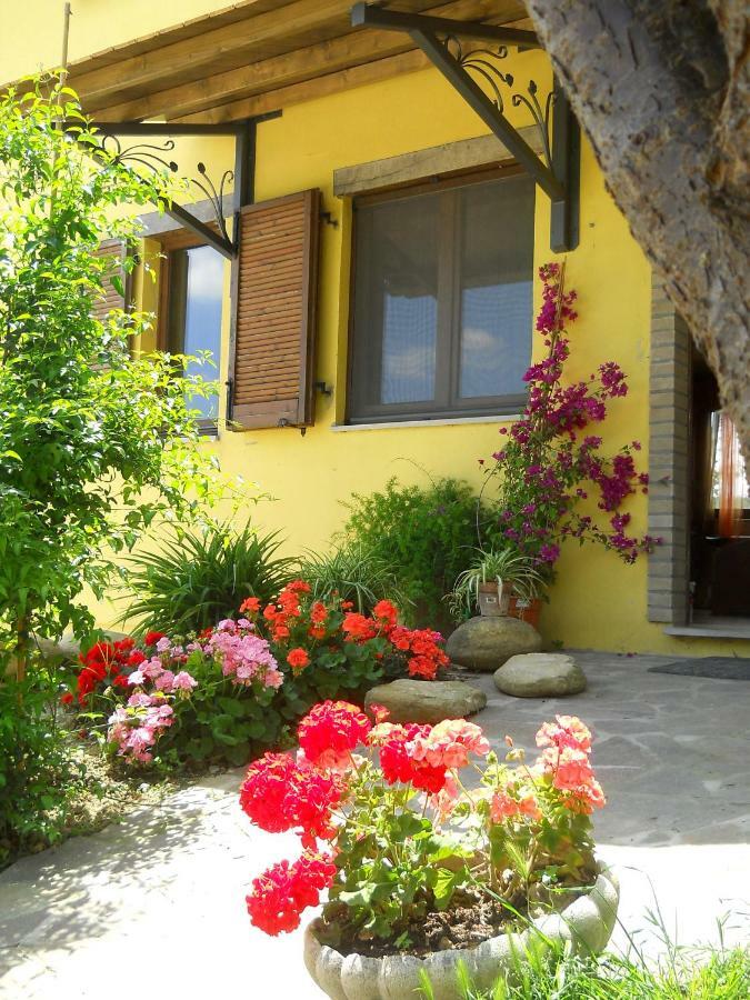 La Rupe Del Falco Monteciccardo Exterior foto